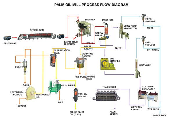 machine presse à huile de palme wwwuit