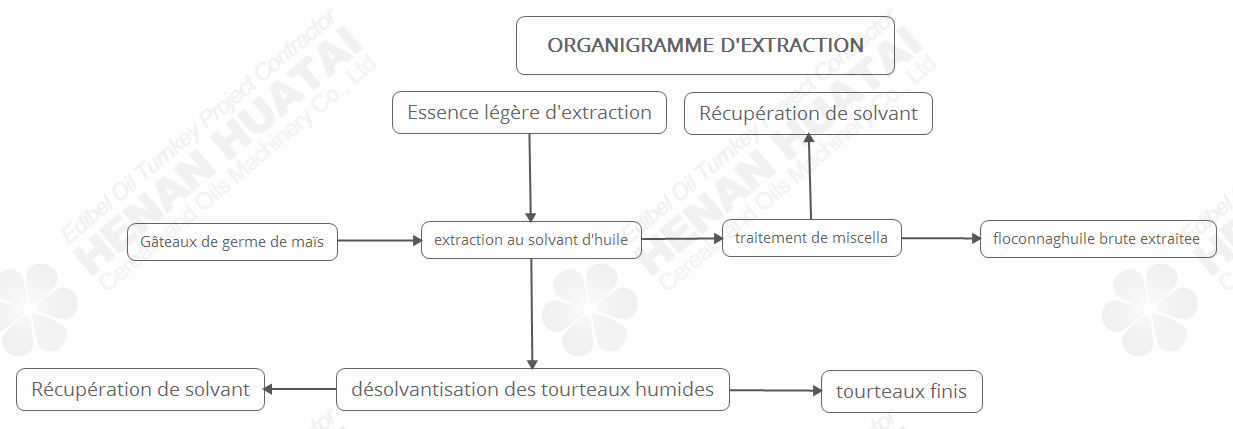 Machines d'Huile de Germe de Maïs/Ligne de Production d'Huile de Germe de Maïs