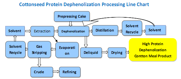 dephenolization de protéine de graine de coton technologie