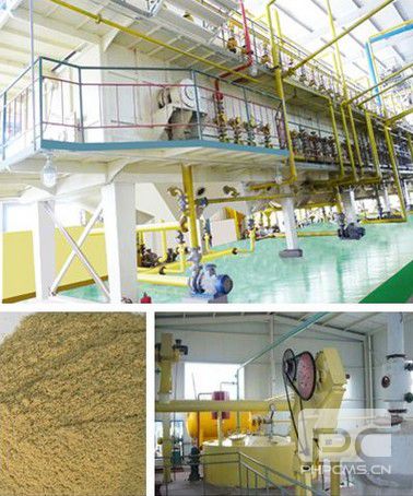 20-1000T/D Rice bran oil pretreatment, extraction, and refining production line