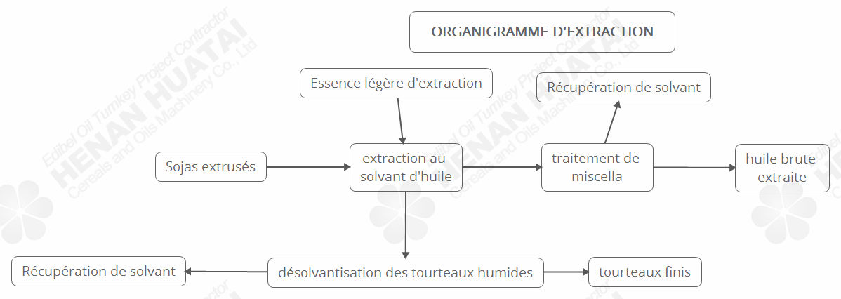 Chaîne de Production d'Huile de Sojas en Algérie/ Chine Machines d'Extraction d'Huile de Sojas en Afriqu