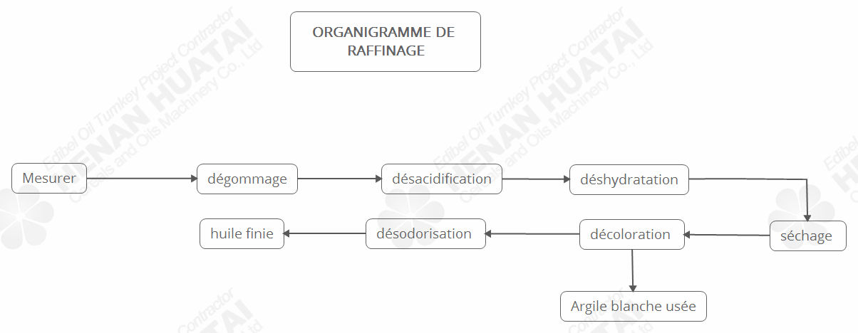 Chaîne de Production d'Huile de Sojas en Algérie/ Chine Machines d'Extraction d'Huile de Sojas en Afriqu