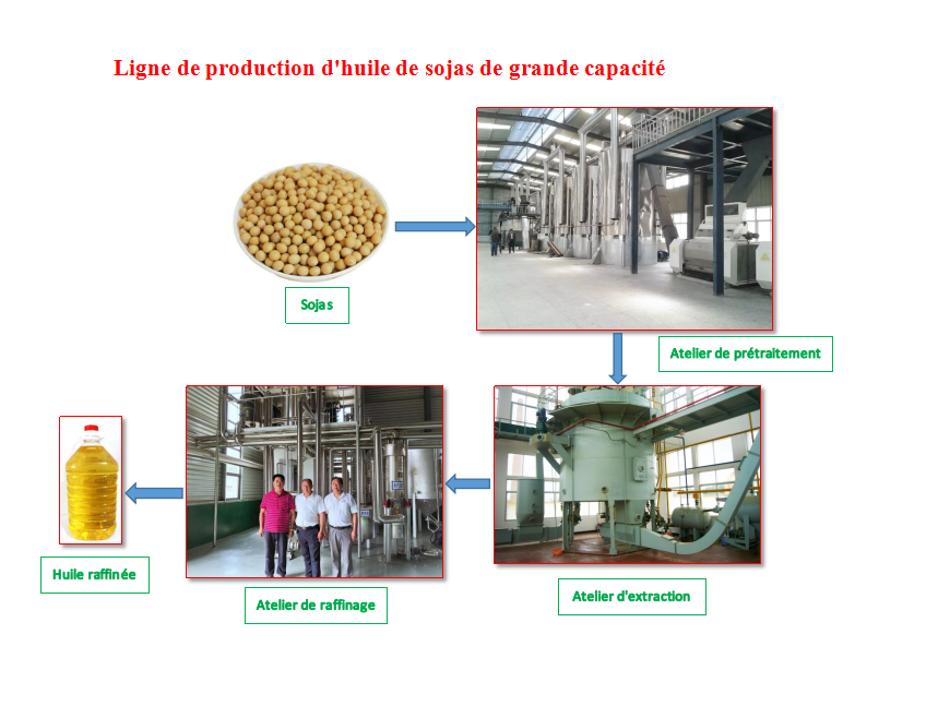 Chaîne de Production d'Huile de Sojas en Algérie/ Chine Machines d'Extraction d'Huile de Sojas en Afriqu