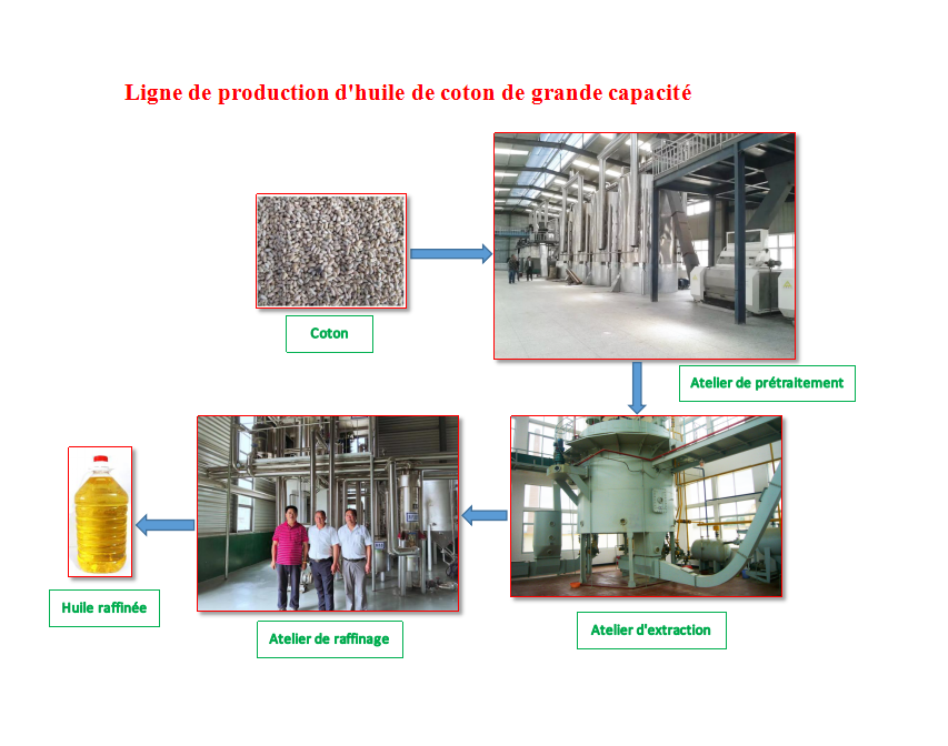 Production d'Huile de Graines de Coton au Bénin/ Machines d'Extraction d'Huile de Coton au Cameroun